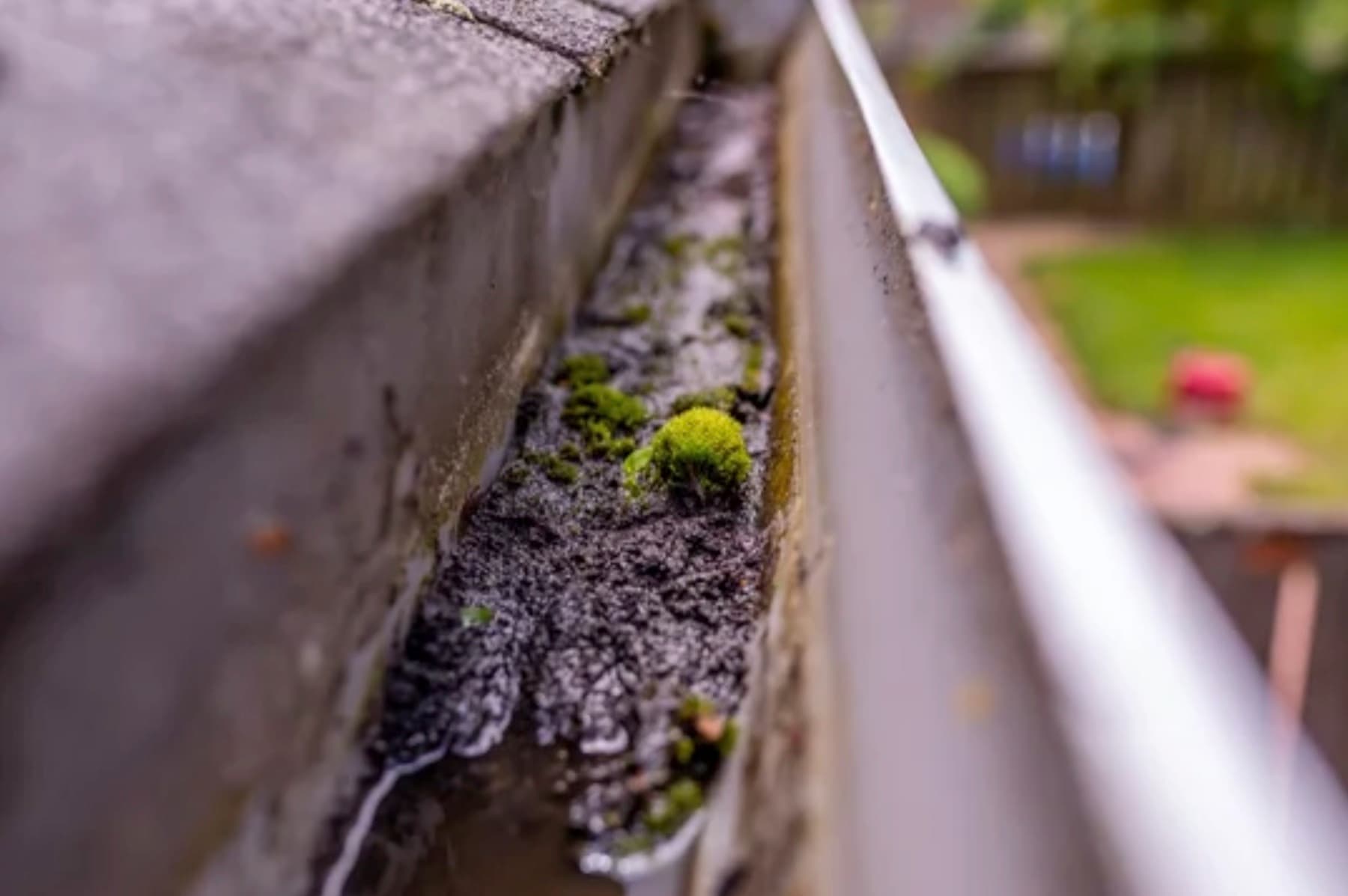 Professional gutter cleaning and drain maintenance service
